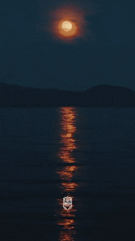 Baccarat Rouge– Emissa